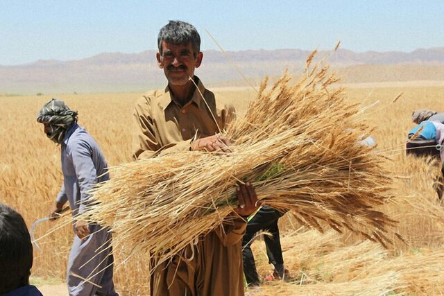 کشاورزی درو