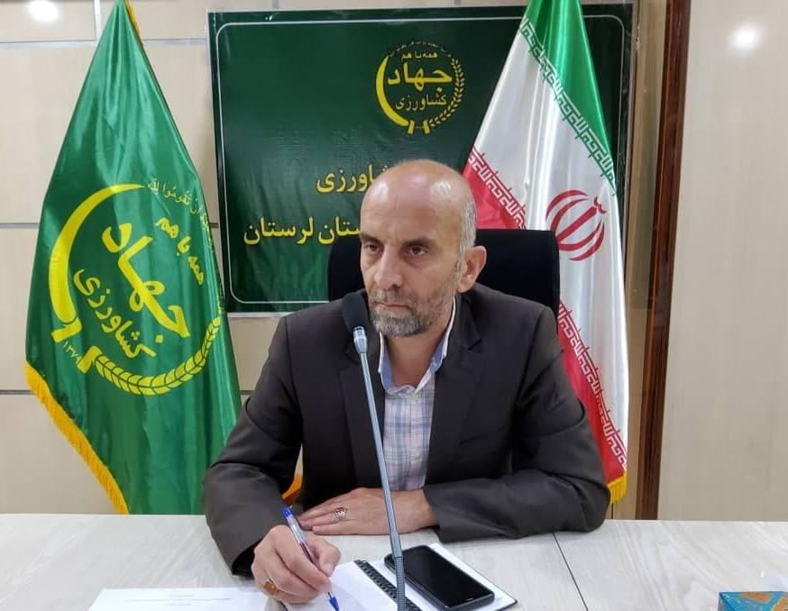 نگرانی در خصوص تهیه کود و سم برای کشاورزان لرستان وجود ندارد