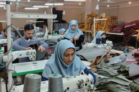 ۸۰ پرونده اشتغالزایی پشتیبان به بانک تجارت ارجاع شده است