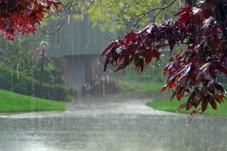 خلق جلوه های زیبا از بارش باران در کوه‌های لرستان