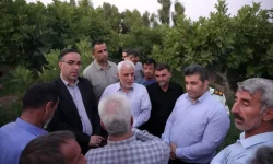 مشکلات باغداران انجیر منطقه زیودار شهرستان معمولان مرتفع شود