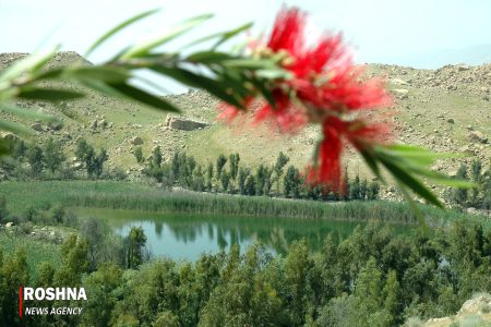 گزارش تصویری تالاب های شهرستان پلدختر لرستان بهار ۱۴۰۳