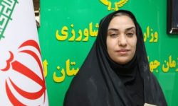 شفیعی به عنوان سرپرست روابط عمومی جهاد کشاورزی لرستان منصوب شد