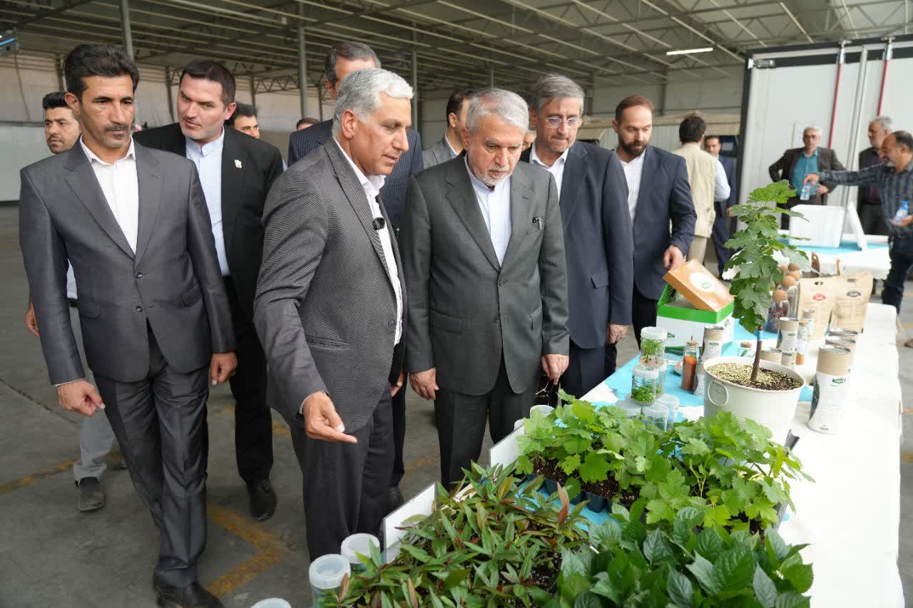 IMG 20250830 223843 818