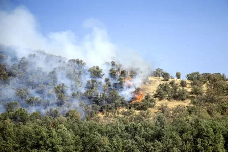 سفیدکوه خرمآباد به عنوان پایلوت ملی اطفای حریق در زاگرس انتخاب شد