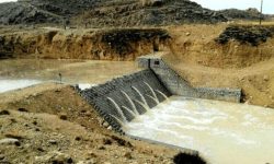 دولت باید یک ردیف خاص اعتباری برای اجرای طرحهای آبخیزداری به لرستان اختصاص دهد
