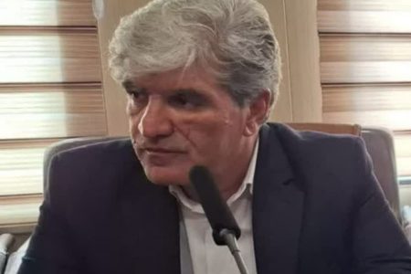 آفت سن مادر به سطحی رسیده که تهدیدی جدی برای محصول گندم در پلدختر محسوب می‌شود